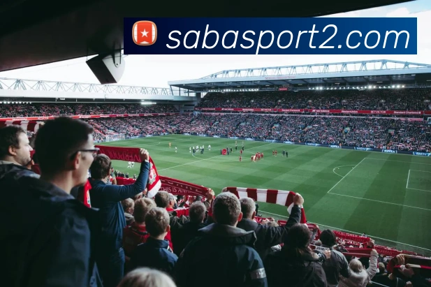 沙巴足球官网服务体系